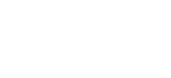 بٹ پے logo
